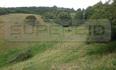 TERRENO RURAL PARCELA 12 CONDOMINIO BARRO BLANCO DE 30016,41 M2 UBIC.: SANTA LIBRADA-BOJACÁ - BARROBLANCO