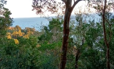 Se Vende Parcela en Puerto Montt / Pichiquillaipe