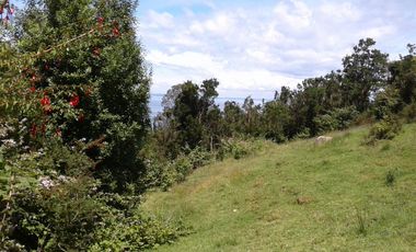 Se Vende Parcela en Puerto Montt / Pichiquillaipe