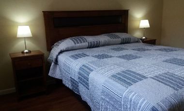 Se arrienda departamento de un dormitorio en suite, Talca
