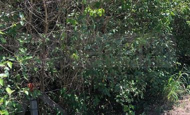 TERRENO RURAL PARCELA 5 CONDOMINIO BARRO BLANCO DE 30000 M2 RP#4 UBIC.: SANTA LIBRADA-BOJACÁ - BARROBLANCO