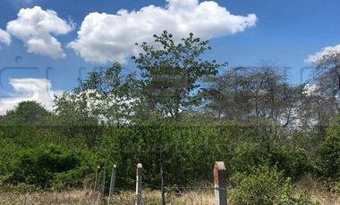 TERRENO RURAL PARCELA 5 CONDOMINIO BARRO BLANCO DE 30000 M2 RP#4 UBIC.: SANTA LIBRADA-BOJACÁ - BARROBLANCO