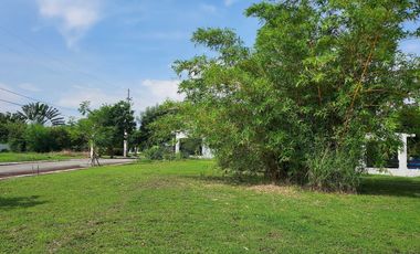 The Newly Listed House for Rent in Solen Residences, Laguna