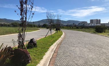Lotes Residenciales en Zona Plateada Pachuca Venta
