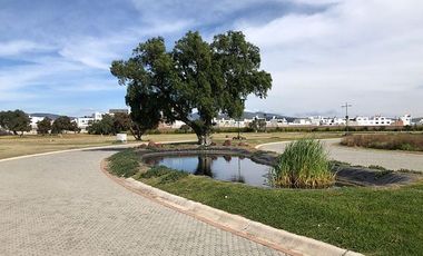 Lotes Residenciales en Zona Plateada Pachuca Venta