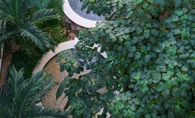 1 recamara/ One bedroom steps from ocean, a una cuadra del mar! , Centro Playa del Carmen!! Downtown!!