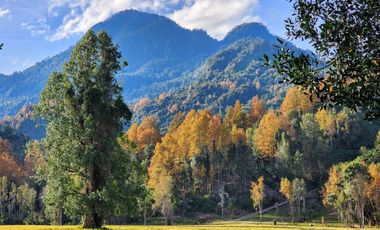 Se vende Hermosa Parcela de 4,08ha en LLifén, Ranco a orilla del río Temuleufu