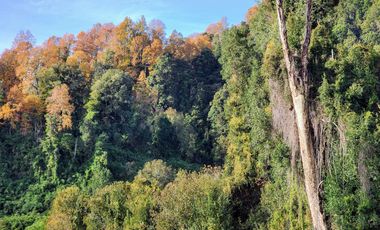 Se vende Hermosa Parcela de 4,08ha en LLifén, Ranco a orilla del río Temuleufu