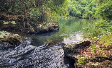 Se vende Hermosa Parcela de 4,08ha en LLifén, Ranco a orilla del río Temuleufu