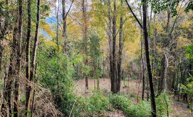 Se vende Hermosa Parcela de 4,08ha en LLifén, Ranco a orilla del río Temuleufu