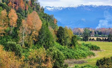 Se vende Hermosa Parcela de 4,08ha en LLifén, Ranco a orilla del río Temuleufu