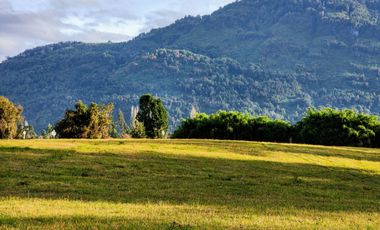 Se vende Hermosa Parcela de 4,08ha en LLifén, Ranco a orilla del río Temuleufu