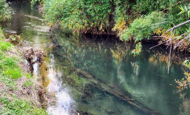 Se vende Hermosa Parcela de 4,08ha en LLifén, Ranco a orilla del río Temuleufu