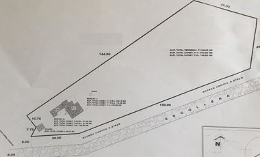 TERRENO EN VENTA CON PLAYA Y RÍO EN TECOLUTLA VERACRUZ | ARLETTE FLORES
