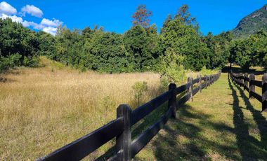 Exclusiva Parcela de 5000m2 en Condominio a orilla del Lago Ranco, Llifén