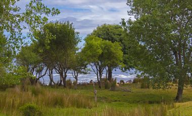 Espectacular Parcela de 5000m2 en Huape, Corral en primera línea al mar