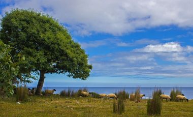 Espectacular Parcela de 5000m2 en Huape, Corral en primera línea al mar