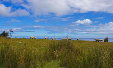 Espectacular Parcela de 5000m2 en Huape, Corral en primera línea al mar