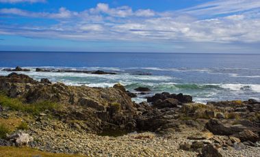 Espectacular Parcela de 5000m2 en Huape, Corral en primera línea al mar