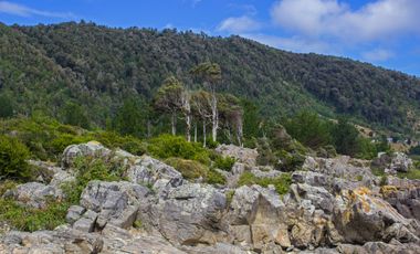Espectacular Parcela de 5000m2 en Huape, Corral en primera línea al mar