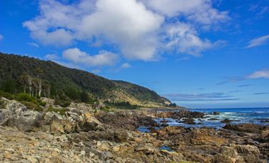 Espectacular Parcela de 5000m2 en Huape, Corral en primera línea al mar