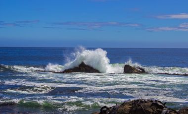 Espectacular Parcela de 5000m2 en Huape, Corral en primera línea al mar