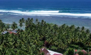 Turnkey Business & Property Investment – Fully Operational Surf Resort in Sumatra