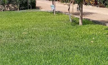 Terreno de campo-playa Las Gardenias de Asia