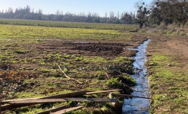 Se vende parcela agrícola 8 hectáreas, Pelarco