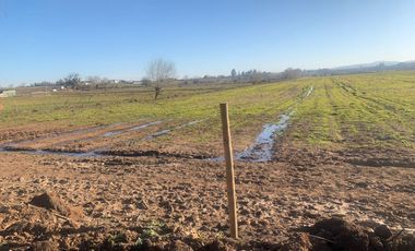 Se vende parcela agrícola 8 hectáreas, Pelarco