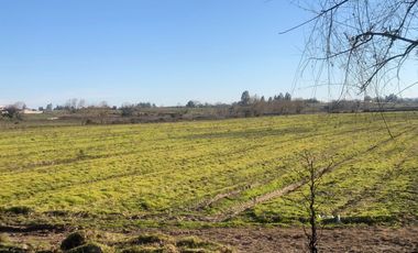 Se vende parcela agrícola 8 hectáreas, Pelarco