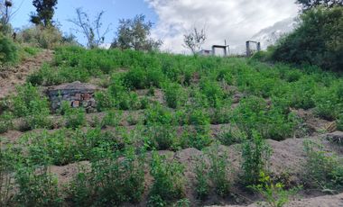 TERRENO EN VENTA EN PINLLO. PARA NEGOCIO O VIVIENDA. AMBATO