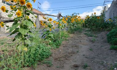 TERRENO EN VENTA EN PINLLO. PARA NEGOCIO O VIVIENDA. AMBATO