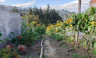 TERRENO EN VENTA EN PINLLO. PARA NEGOCIO O VIVIENDA. AMBATO