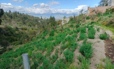 TERRENO EN VENTA EN PINLLO. PARA NEGOCIO O VIVIENDA. AMBATO