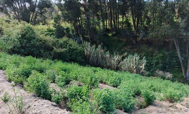 TERRENO EN VENTA EN PINLLO. PARA NEGOCIO O VIVIENDA. AMBATO
