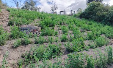 TERRENO EN VENTA EN PINLLO. PARA NEGOCIO O VIVIENDA. AMBATO