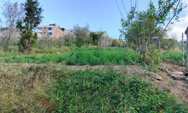 TERRENO EN VENTA EN PINLLO. PARA NEGOCIO O VIVIENDA. AMBATO