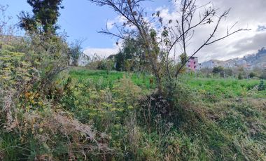 TERRENO EN VENTA EN PINLLO. PARA NEGOCIO O VIVIENDA. AMBATO