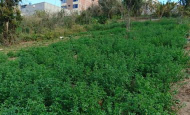 TERRENO EN VENTA EN PINLLO. PARA NEGOCIO O VIVIENDA. AMBATO