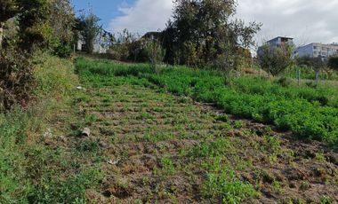TERRENO EN VENTA EN PINLLO. PARA NEGOCIO O VIVIENDA. AMBATO
