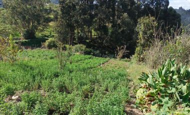 TERRENO EN VENTA EN PINLLO. PARA NEGOCIO O VIVIENDA. AMBATO