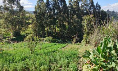 TERRENO EN VENTA EN PINLLO. PARA NEGOCIO O VIVIENDA. AMBATO