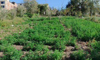 TERRENO EN VENTA EN PINLLO. PARA NEGOCIO O VIVIENDA. AMBATO