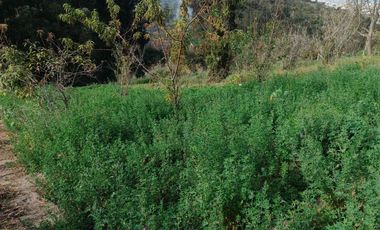 TERRENO EN VENTA EN PINLLO. PARA NEGOCIO O VIVIENDA. AMBATO