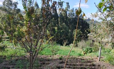 TERRENO EN VENTA EN PINLLO. PARA NEGOCIO O VIVIENDA. AMBATO