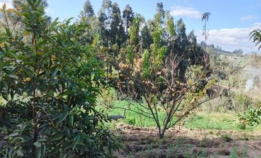 TERRENO EN VENTA EN PINLLO. PARA NEGOCIO O VIVIENDA. AMBATO