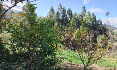 TERRENO EN VENTA EN PINLLO. PARA NEGOCIO O VIVIENDA. AMBATO