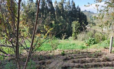 TERRENO EN VENTA EN PINLLO. PARA NEGOCIO O VIVIENDA. AMBATO
