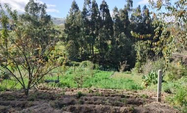 TERRENO EN VENTA EN PINLLO. PARA NEGOCIO O VIVIENDA. AMBATO